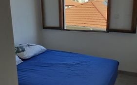 La verdure au cœur de Nice
